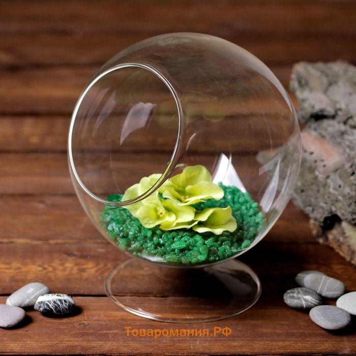 Флорариум «Натурель», сфера, d=8 см, 17×15 см, стекло, прозрачный