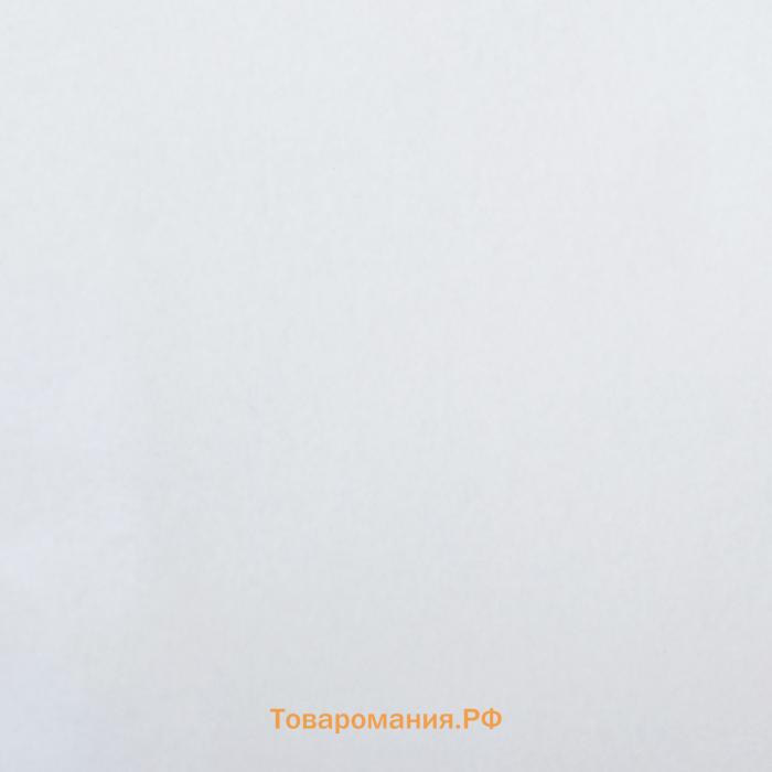 Бумага упаковочная тишью, белый, 50 см × 66 см