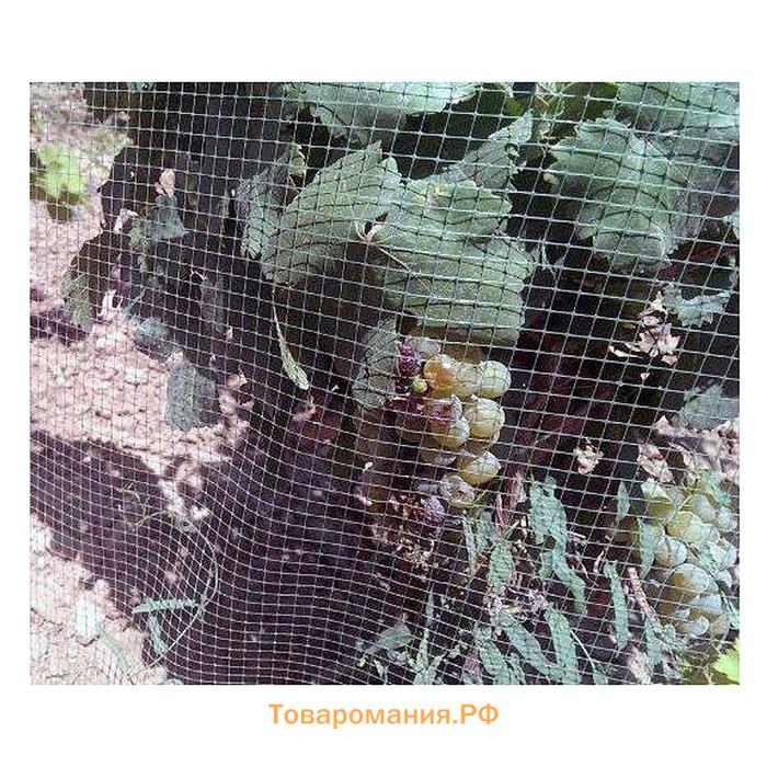 Сетка садовая, 2×10 м, ячейка ромб 6×6 мм, от птиц, пластиковая, зелёная, Greengo