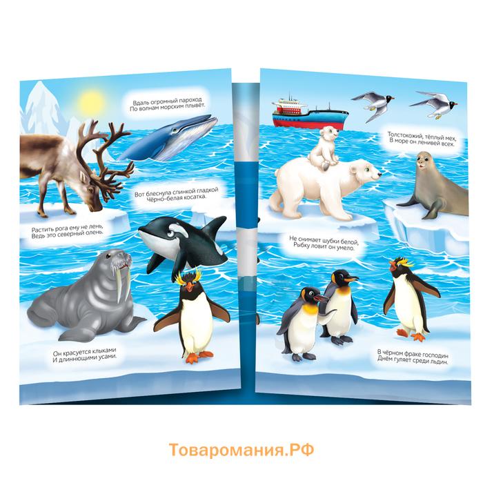 Наклейки многоразовые «Кто живёт на полюсе», 40 наклеек