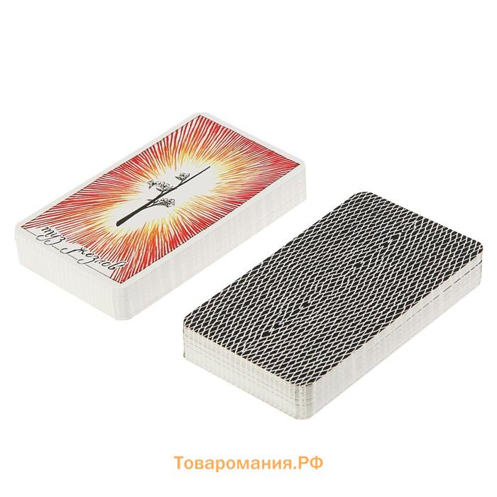 Книга «The Wild Unknown Tarot. Дикое Неизвестное Таро», 78 карт и руководство в подарочном футляре, Кранс К.