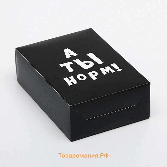 Коробка складная с приколами «А ты норм!», 16×23×7.5 см