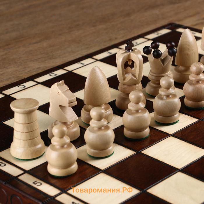 Шахматы польские Madon "Королевские", 44 х 44 см, король h=8 см, пешка h-4.5 см