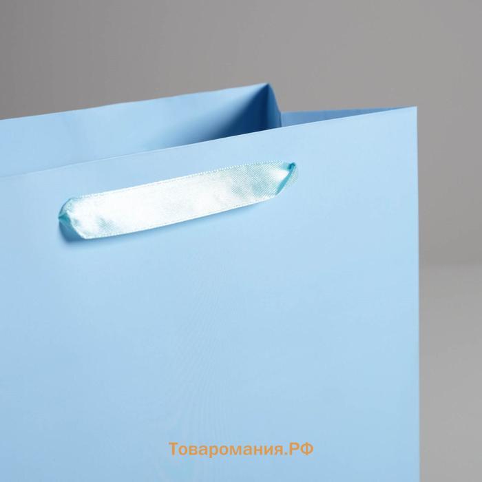 Пакет подарочный, упаковка, «Голубой», M 25,5 х 30 х 9 см