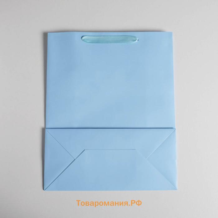 Пакет подарочный, упаковка, «Голубой», M 25,5 х 30 х 9 см
