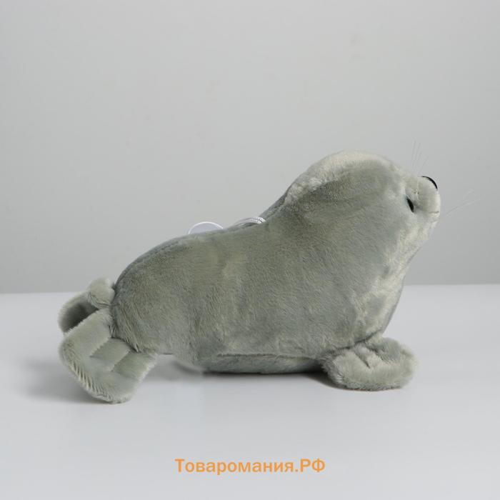 Мягкая игрушка «Тюлень», МИКС