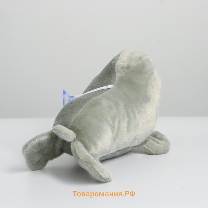 Мягкая игрушка «Тюлень», МИКС