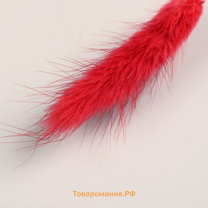 Сухоцветы «Лагурус», h=65 см, (фасовка 30 шт., цена за 1 шт.), красные