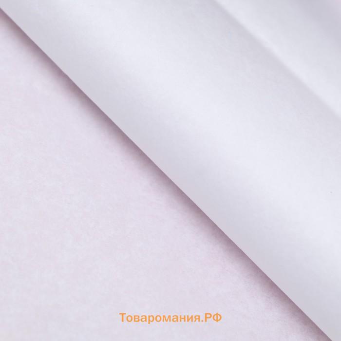 Бумага тишью, палитра №1, «МИКС», 50×66 см