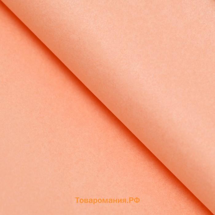 Бумага тишью, палитра №2, «МИКС», 50×66 см
