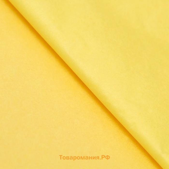 Бумага тишью, палитра №2, «МИКС», 50×66 см