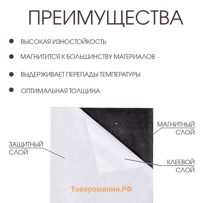 Магнитный винил, с ПВХ поверхностью, TAKE IT EASY, А4, набор 2 шт., толщина 0.3 мм, белый, 21×29.7 см