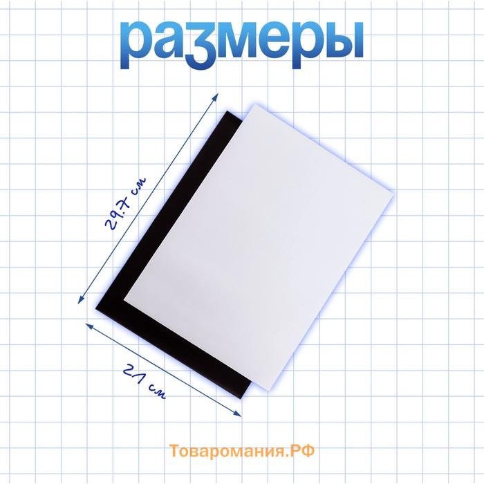 Магнитный винил, с ПВХ поверхностью, TAKE IT EASY, А4, набор 2 шт., толщина 0.3 мм, белый, 21×29.7 см