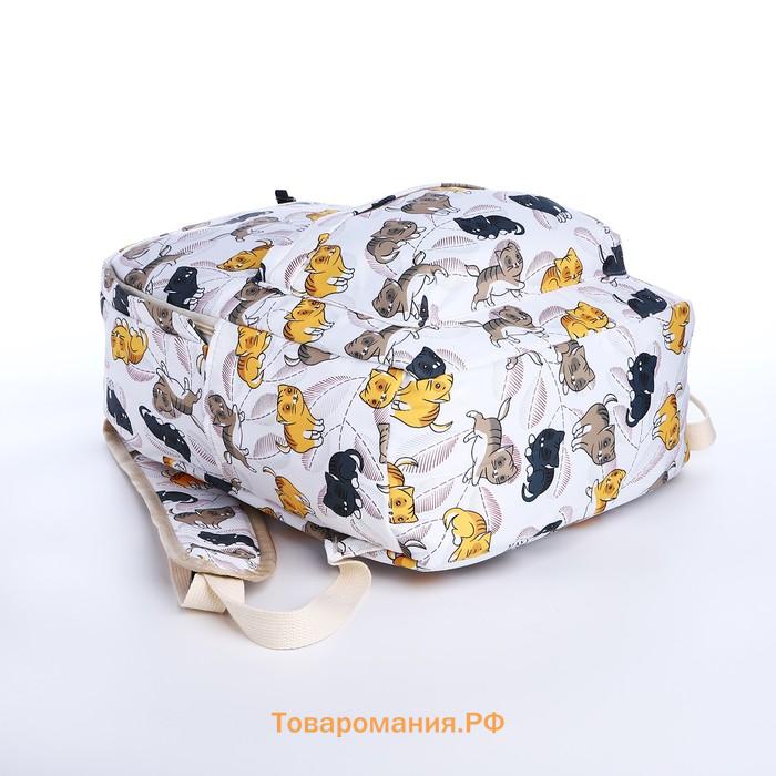 Набор: рюкзак школьный и пенал, с карманами, с принтом Cute kitten, белый/разноцветный