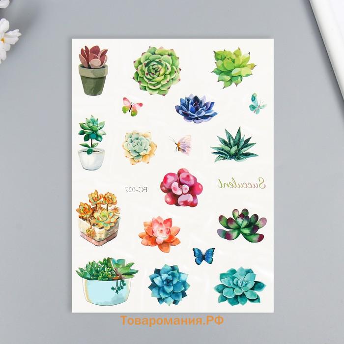 Переводные тату на тело цветные «Бабочки. Суккуленты», 24×14.5 см, МИКС
