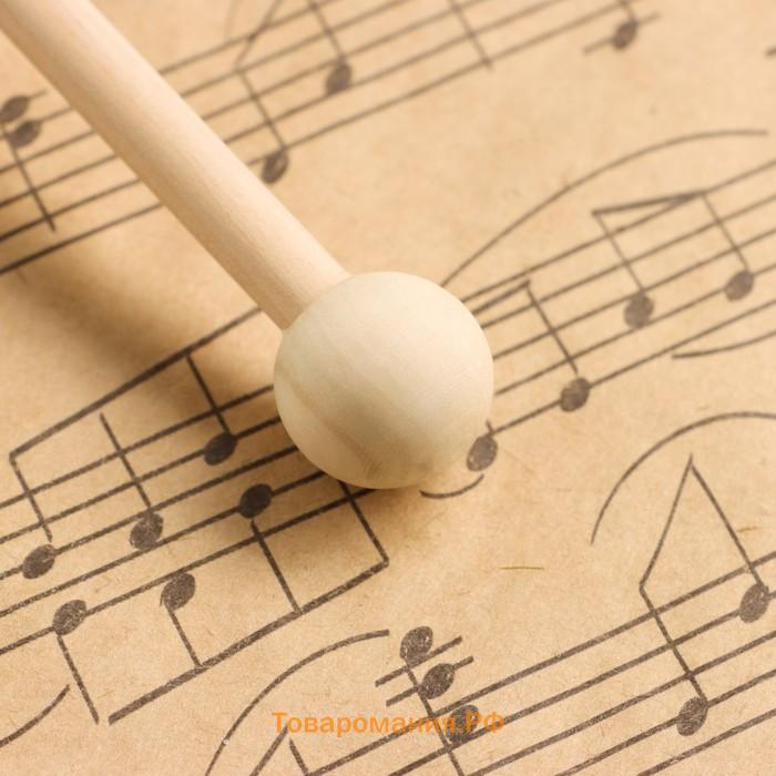 Музыкальный инструмент: Гонг с колотушкой, Music Life, 22 см