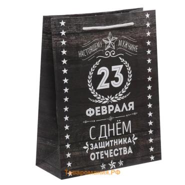 Пакет подарочный ламинированный вертикальный, упаковка, «С 23 февраля», ML 23 х 27 х 11.5 см