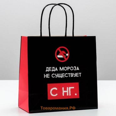 Пакет подарочный новогодний «Деда мороза не существует», 22 х 22 х 11 см