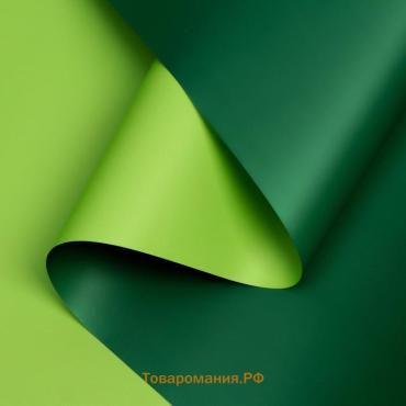 Пленка двухсторонняя 0.57×5 м зелёный МИКС