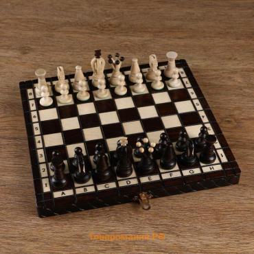 Шахматы польские Madon "Королевские", 28 х 28 см, король h=6 см, пешка h-3 см