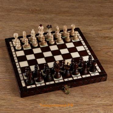 Шахматы польские Madon "Жемчуг", 28 х 28 см, король h-6.5 см, пешка h-3 см