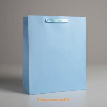 Пакет подарочный, упаковка, «Голубой», M 25,5 х 30 х 9 см