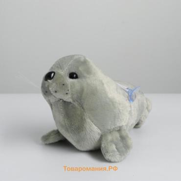 Мягкая игрушка «Тюлень», МИКС