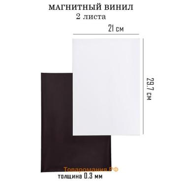 Магнитный винил, с ПВХ поверхностью, TAKE IT EASY, А4, набор 2 шт., толщина 0.3 мм, белый, 21×29.7 см