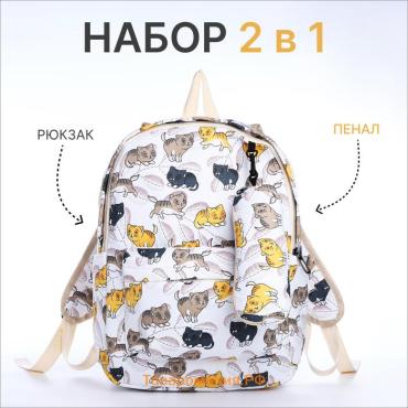 Набор: рюкзак школьный и пенал, с карманами, с принтом Cute kitten, белый/разноцветный