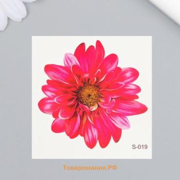 Переводная тату на тело цветная «Хризантема», 6×6 см